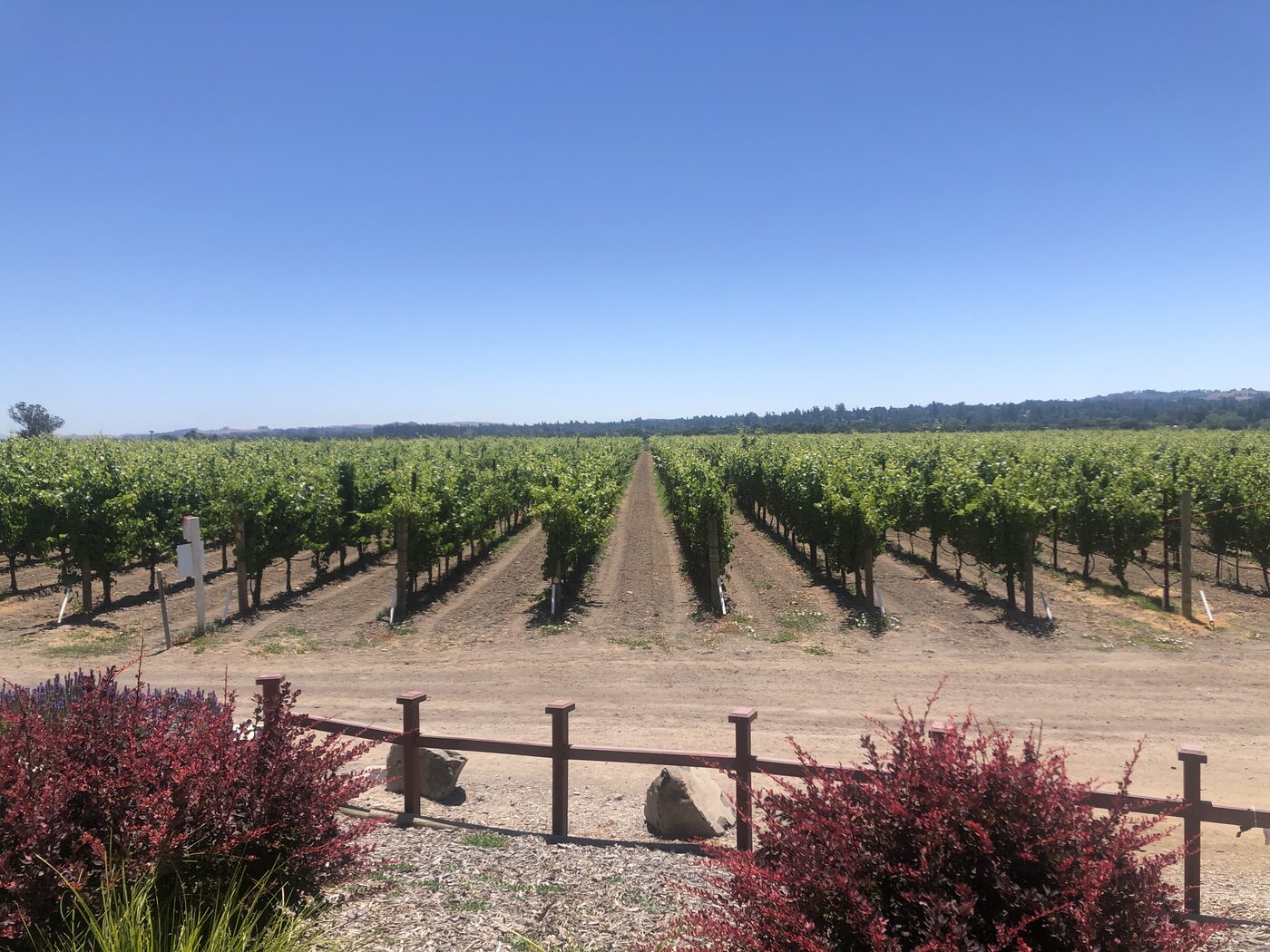 Kyli Lensing Wine & Co. moment 11